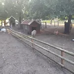 Darpvenner Diele * Ostercappeln