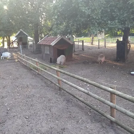 Darpvenner Diele * Ostercappeln