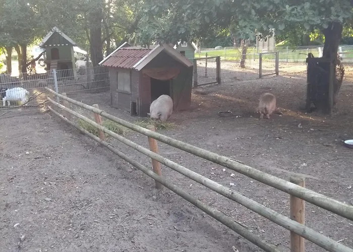 Darpvenner Diele * Ostercappeln